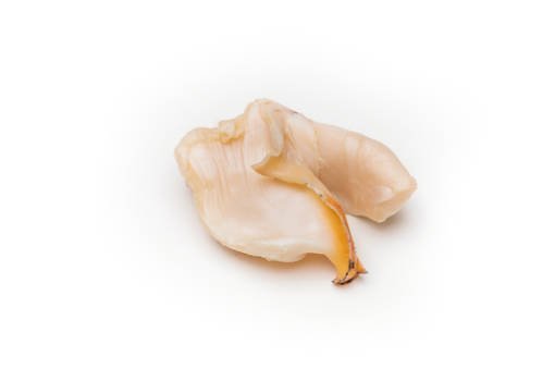 conch meat