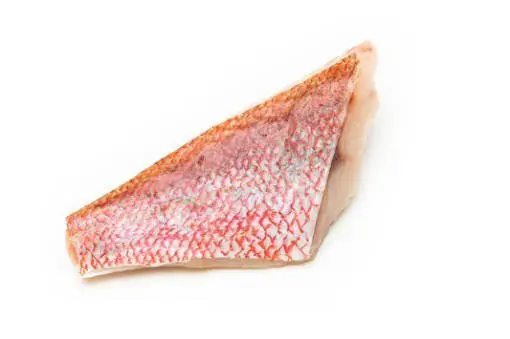 Buy Pacific Red Snapper Fillet Online – Pure Food Fish Market