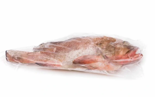 INB-WGGS-Grouper-NETUNO INB-WGGS-Grouper-NETUNO