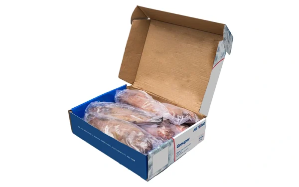 WGGS-Grouper-Open-Box WGGS-Grouper-Open-Box