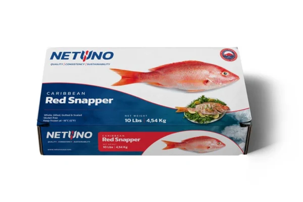 3D CARIBBEAN RED SNAPPER 10lbs BRZ_front flat 3D CARIBBEAN RED SNAPPER 10lbs BRZ_front flat