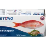 3D CARIBBEAN RED SNAPPER 10lbs BRZ_front top