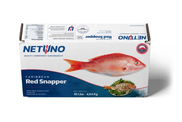 3D CARIBBEAN RED SNAPPER 10lbs BRZ_front top 3D CARIBBEAN RED SNAPPER 10lbs BRZ_front top