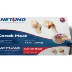 3D CONCH MEAT ST VINCENT 5lbs_front flat