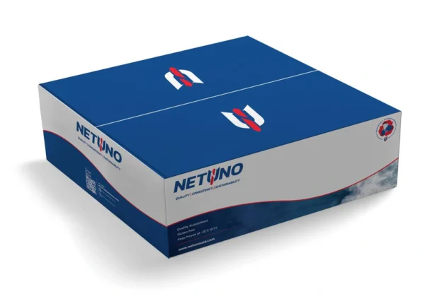 3D GENERIC BOX 9__Rear angle 3D GENERIC BOX 9__Rear angle