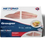 3D GROUPER FILLET ONCE CUT SKINLESS 10lbs_front flat