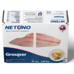 3D GROUPER FILLET ONCE CUT SKINLESS 10lbs_front top