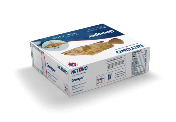 3D GROUPER WHOLE 10Lbs_Rear angle 3D GROUPER WHOLE 10Lbs_Rear angle