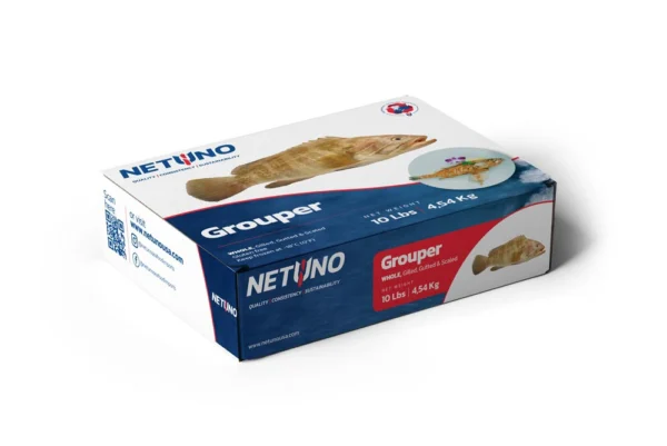 3D GROUPER WHOLE 10Lbs_Side A 3D GROUPER WHOLE 10Lbs_Side A