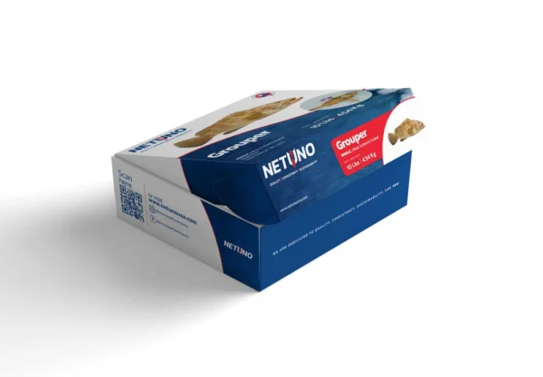 3D GROUPER WHOLE 10lbs_Side B 3D GROUPER WHOLE 10lbs_Side B