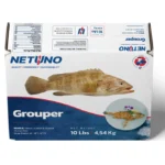 3D GROUPER WHOLE 10lbs_front top