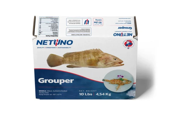 3D GROUPER WHOLE 10lbs_front top 3D GROUPER WHOLE 10lbs_front top