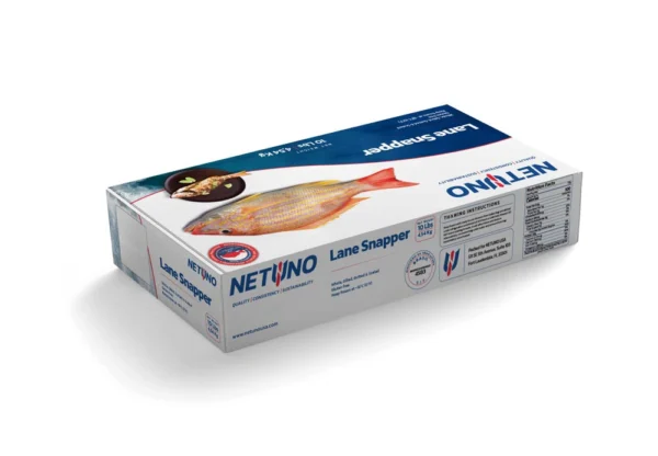 3D LANE SNAPPER 10Lbs BRZ_Rear angle 3D LANE SNAPPER 10Lbs BRZ_Rear angle