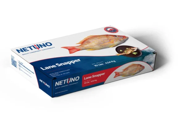 3D LANE SNAPPER 10Lbs BRZ_Side A 3D LANE SNAPPER 10Lbs BRZ_Side A