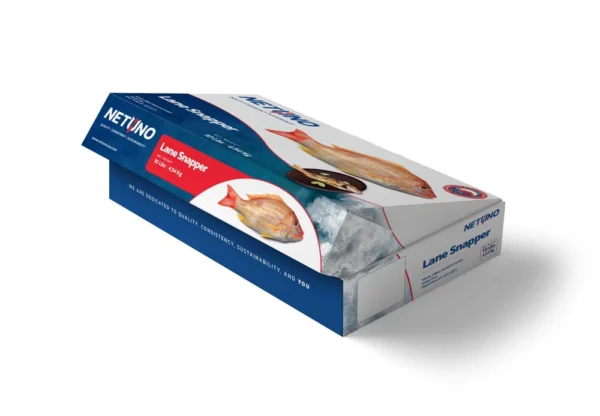 3D LANE SNAPPER 10Lbs BRZ_Side B 3D LANE SNAPPER 10Lbs BRZ_Side B