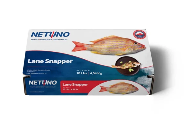 3D LANE SNAPPER 10lbs BRZ_front flat 3D LANE SNAPPER 10lbs BRZ_front flat