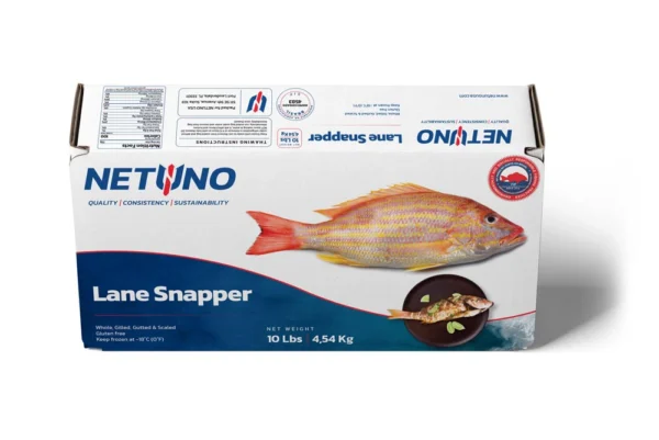 3D LANE SNAPPER 10lbs BRZ_front top 3D LANE SNAPPER 10lbs BRZ_front top