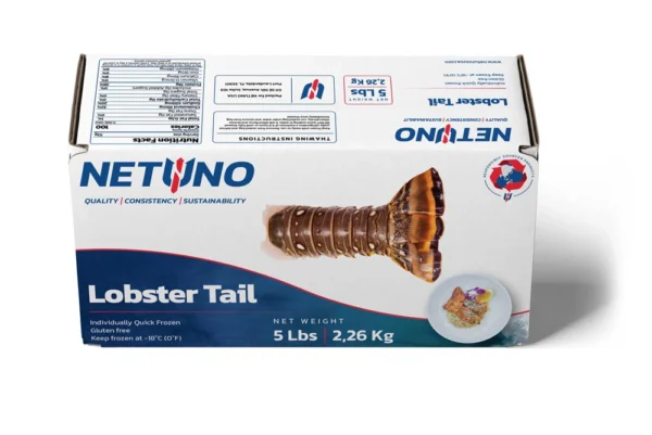 3D LOBSTER CARIBBEAN TAIL 5lbs_front top 3D LOBSTER CARIBBEAN TAIL 5lbs_front top