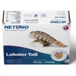 3D LOBSTER TAIL 10lbs CARIBBEAN_front top