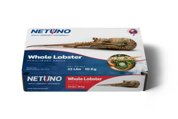 3D WHOLE LOBSTER 22LBS_front flat 3D WHOLE LOBSTER 22LBS_front flat