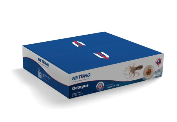 3D WHOLE OCTOPUS 33LBS MEX_Rear angle 3D WHOLE OCTOPUS 33LBS MEX_Rear angle