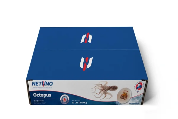 3D WHOLE OCTOPUS MEX 33LBS_front flat 3D WHOLE OCTOPUS MEX 33LBS_front flat