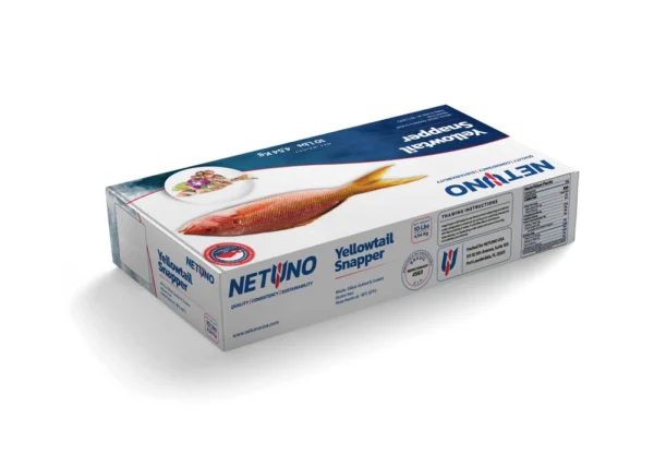 3D YELLOWTAIL SNAPPER 10Lbs_Rear angle_BRZ 3D YELLOWTAIL SNAPPER 10Lbs_Rear angle_BRZ