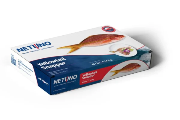 3D YELLOWTAIL SNAPPER 10Lbs_Side A_BRZ 3D YELLOWTAIL SNAPPER 10Lbs_Side A_BRZ