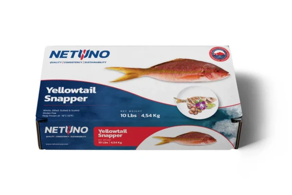 3D YELLOWTAIL SNAPPER 10lbs_front flat_BRZ 3D YELLOWTAIL SNAPPER 10lbs_front flat_BRZ