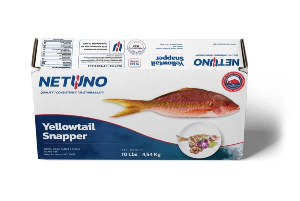 3D YELLOWTAIL SNAPPER 10lbs_front top_BRZ 3D YELLOWTAIL SNAPPER 10lbs_front top_BRZ