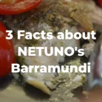 A fork cuts through a crispy barramundi fillet with the text "3 Facts about NETUNO's Barramundi"