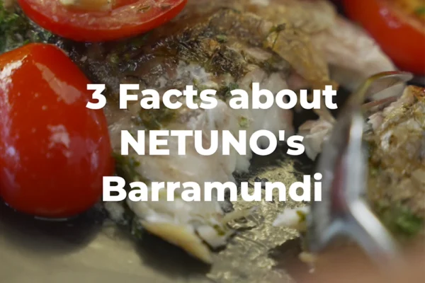 Barramundi-Fillets-Facts A fork cuts through a crispy barramundi fillet with the text "3 Facts about NETUNO's Barramundi"