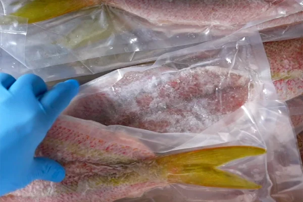 Butterflied-Yellowtail-Fillet-Unboxing A chef opens a box of frozen butterflied yellowtail