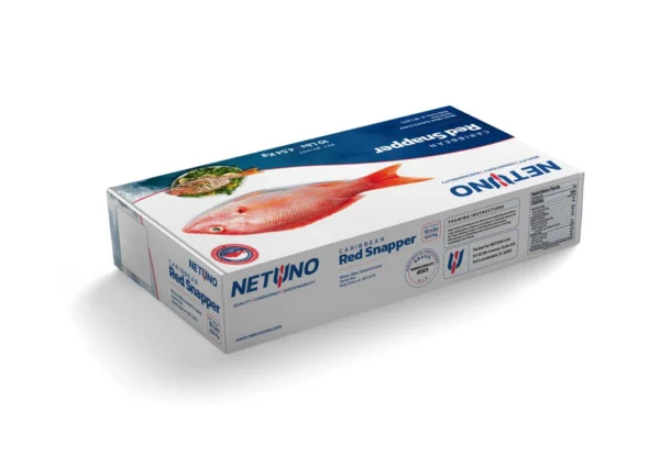 CARIBBEAN RED SNAPPER 10Lbs BRZ_Rear angle CARIBBEAN RED SNAPPER 10Lbs BRZ_Rear angle