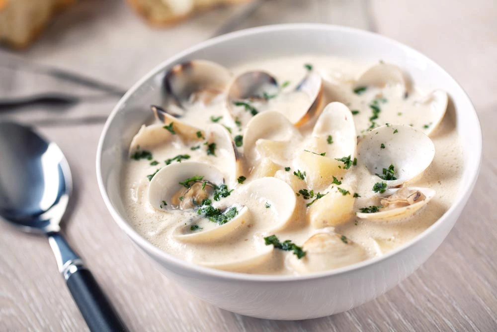 Clam Chowder