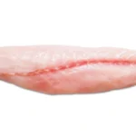 A large Cobia fillet