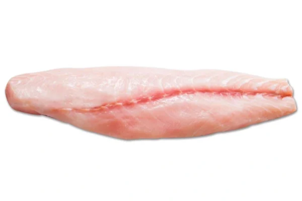 A large Cobia fillet