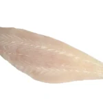 Frozen-Grouper-Fillet-South-America