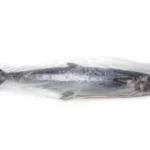 Frozen-Kingfish-Mackerel (2)