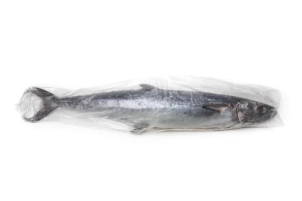 Frozen-Kingfish-Mackerel (2) Frozen-Kingfish-Mackerel (2)