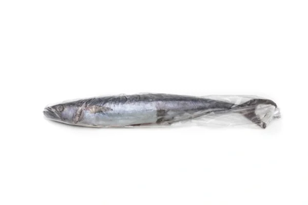 Frozen-Kingfish-Mackerel Frozen-Kingfish-Mackerel