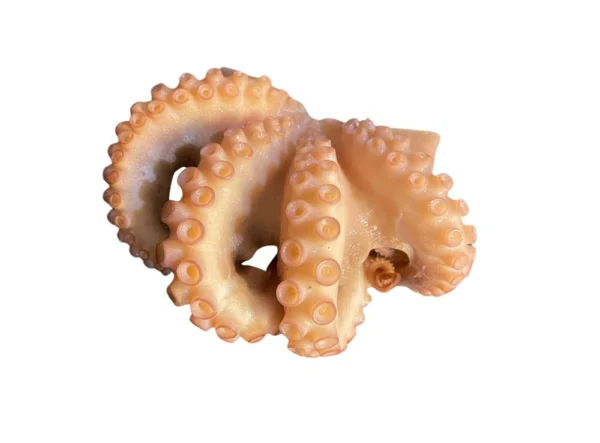 Frozen-Octopus-Tentacles-CrownCut (3) Frozen-Octopus-Tentacles-CrownCut (3)