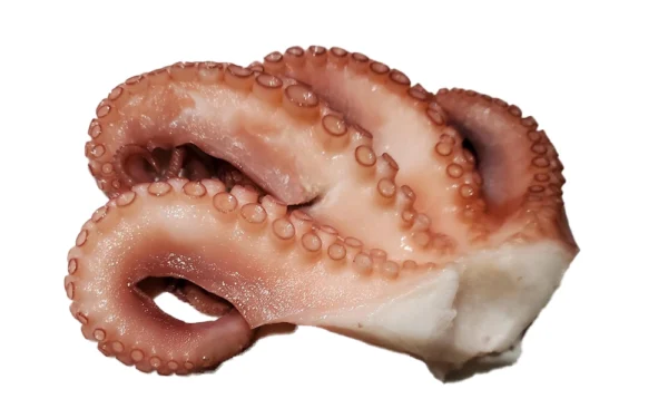 Frozen-Octopus-Tentacles-CrownCut (5) octopus tentacles cut in a crown form