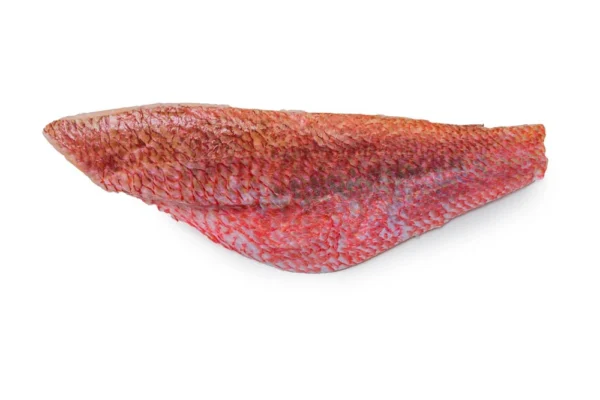 Frozen-Red-Snapper-Fillets