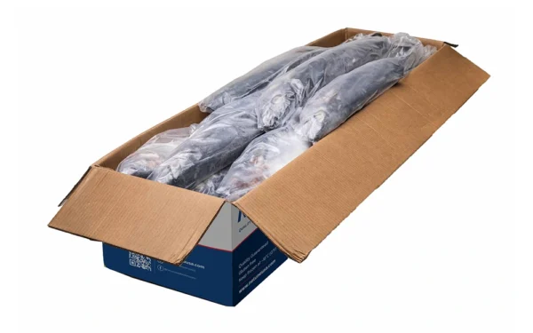 Frozen-Whole-Kingfish-Open-Box Frozen-Whole-Kingfish-Open-Box