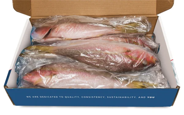 Frozen-Yellowtail-snapper-open-box Frozen-Yellowtail-snapper-open-box