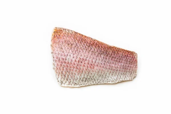 King-Snapper-Fillet-OnceCut (3) King-Snapper-Fillet-OnceCut (3)