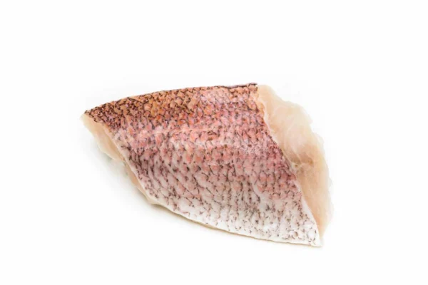 King-Snapper-Fillet-OnceCut (4) King-Snapper-Fillet-OnceCut (4)