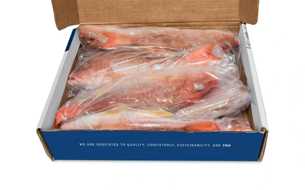 Lane-Snapper-Whole-Open-Box Lane-Snapper-Whole-Open-Box