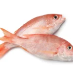 Red-Snapper-Wholesale (2)